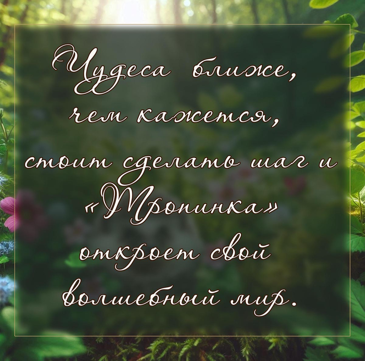 Волшебный мир Чудеса вокруг нас